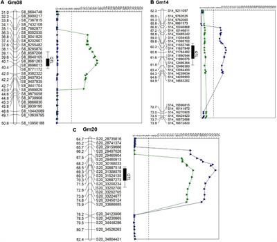 Linkage analysis and residual heterozygotes derived near isogenic lines reveals a novel protein quantitative trait loci from a Glycine soja accession